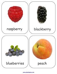 Free Printable For Kids Toddlers Preschoolers Flash Cards Charts Worksheets File Folder Busy Bag Quiet Time A Flashcards Fruits For Kids Flashcards For Kids