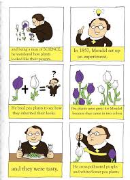 Gregor Mendel Page 2 By Sithdragon42 On Deviantart Patterns Of Inheritance Gregor Mendel Biology Lessons Genetics Activities
