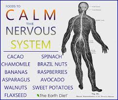 Foods That Help Your Nervous System Nervous System Calming Food Health