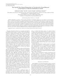 Image result for Trochomeria hookeri