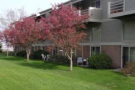 Check spelling or type a new query. Londonderry Lofts For Rent In Madison Wi Forrent Com