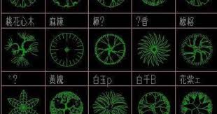 Autocad Tree In Plan Google Search Autocad Trees Autocad Landscape Drawings