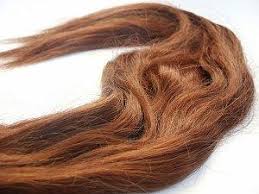 Salmon is also a great source of protein, which will further help your hair stay long and strong. How To Grow Your Hair Long Lovetoknow