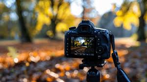 DSLR