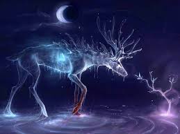 10 Animals As Omens When They Cross Your Path Water Art Fantasy Art Moon Art