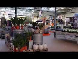 We did not find results for: Jardinerie Les Compagnons Des Saisons Villeneuve D Ascq Youtube