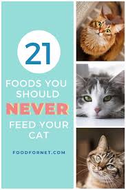 It can be dangerous if done wrong. 21 Foods That You Should Never Feed Your Cat Food For Net