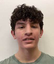 IHSA boys swimmers: Top in Springfield IL area 2021-22