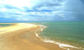 Dhanushkodi beach şehrindeki en yüksek puanlı kiralık tatil yerleri. Dhanushkodi Island Unknown Facts