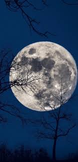 Download full moon wallpaper from the above hd widescreen 4k 5k 8k ultra hd resolutions for desktops laptops, notebook, apple description: 1440x2960 Full Moon Samsung Galaxy Note 9 8 S9 S8 S8 Qhd Hd 4k Wallpapers Images Backgrounds Photos And Pictures