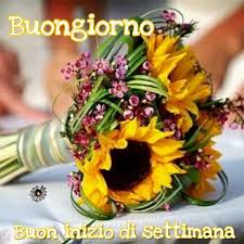Tanti auguri buon compleanno by prince of roses. Link Buongiorno Buon Inizio Di Settimana Flowers Yellow Buona Giornata Tiziana Mosso P Fiori Per Matrimonio Autunnale Fiori Per Matrimoni Girasoli