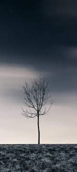 Please contact us if you want to publish an oneplus nord wallpaper on our site. Oneplus Nord Wallpapers Hd