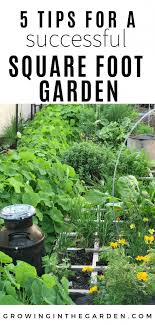 5 Tips For A Successful Square Foot Garden Growing In The Garden Square Foot Gardening Layout Square Foot Gardening Garden Planning