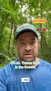 What Food Can We Eat in The Forest