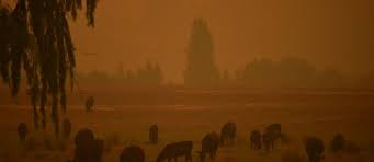 Base de données black desert. Tempete De Sable Et Averse De Grele Sur L Australie Sinistree Par Les Feux Le Point