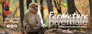 La montagne des singes et la volerie des aigles vues par delphine wespiser. La Montagne Des Singes Home Facebook