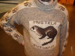 Juno was first seen as a statue at the aj birthday party and has yet to make an appearance in the adventures. Love Ferrets Great Here Are 8 First Rate Knit Crochet Patterns For Fans Of Ferrets Knithacker