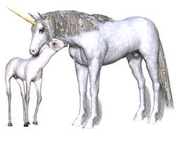 They don't need to follow the generic coloring of white body and silvery horn, they can color the unicorns with many different colors. What Is A Baby Unicorn Called Unicorn Yard