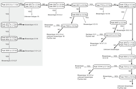 rapid subtyping of yersinia enterocolitica by matrix