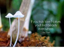 Quotes Nature Love Master Trick