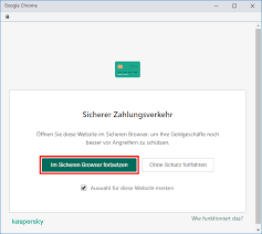 Schutzen Von Finanziellen Transaktionen Und Bestellungen Im Internet Mithilfe Von Kaspersky Internet Security 20