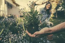 Start your miami gardens apartment search! Offers Reviews From Vignette Gardens In Miami Fl Powered By Usdirectory