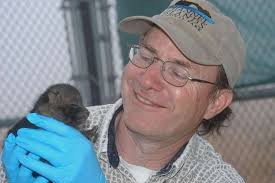 12 Mammal conservation Images: PICRYL