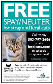 Areas willamette humane society serves. 36 Great Ads Ideas Great Ads Neuter Spay