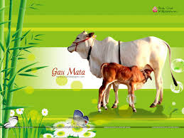 We are piloting this initiative with an effort to make almost any component that one can think of be available instantl. Gau Mata Wallpapers Images Photos Gallery Free Download