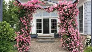 Bahkan banyak orang yang gemar menanam dan. Ide Taman Bunga Mawar Rambat Buat Rumah Bagai Di Dunia Dongeng Fashion Fimela Com