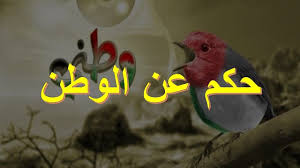 حكم عن الوطن حكم عن الوطن الوطن الوطن هو المكان الأول التي ترى عيناك سهوله وجباله وربيعه وأشجاره وأول ما تنفست رئتيك Pluto The Dog Character Disney Characters