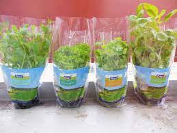 How To Repot Supermarket Herbs Into One Pot Indoor Herb Garden Lia Belle Indoor Herb Garden Herbs Indoors Small Herb Gardens