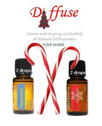 Holiday Joy And Peppermint Oil Diffuser Blend Purchase Oils At Www Mydoterra Com Agree Diffusor Mischungen Aromatherapie Ole Atherische Ole