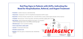 Image result for Fever Without Focus Red Flags