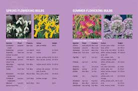 Summer containers are a great way to add drama to the garden. Bulb Planting Calendar For Spring And Summer Flowering Bulbs Orchardpark Planting Calendar Summer Bulbs Planting Bulbs