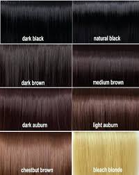Loreal Permanent Hair Colour Shades Chart Www