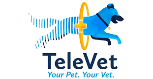 Advanced pet care is amazing. Televet Closes 5m Series A Funding Round To Innovate The Future Of Veterinary Telemedicine Business Wire