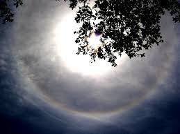 Seizures can occur in dogs for many different reasons. What Causes Halos Sundogs And Sun Pillars