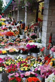 Flowers Market Viru Gate Tallinn Estonia Tallinn Estonia Travel Tallinn Estonia