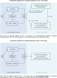 sequential high dose cytarabine and mitoxantrone s ham