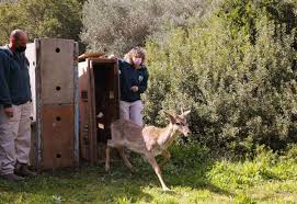 Enter an amount to give. Reports From The Tisch Family Zoological Gardens The Biblical Zoo In Jerusalem Globalgiving