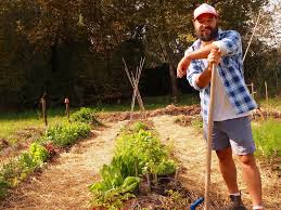 To do this give them a good soaking the day before you're planning on digging and. How To Revitalise And Rejuvenate Your Veggie Patch