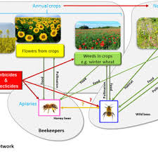 We did not find results for: Pdf Weeds For Bees A Review