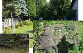 It takes all the hassle out of watering the garden and ensures your garden gets the right amount of water. Setting Up An Automatic Multi Zone Home Irrigation System 8 Steps With Pictures Instructables