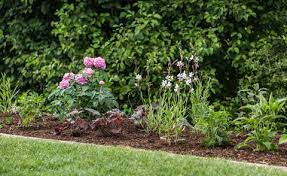Die erstaunlich vielfältige, schöne und pflegeleichte bepflanzung wird in 3 jahreszeiten von märz bis september mit der kamera dokumentiert und vom planer mi. Schmales Beet Anlegen Und Bepflanzen Mein Schoner Garten