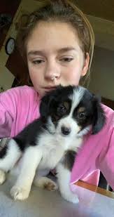 Shawn D Wroble , Tommy , Nicole , Brownie, Sharon , Tom Hubbard 🤟 😎 🇺🇸  Awesome Job My Friends ♥️. KEANSBURG NJ 🤟