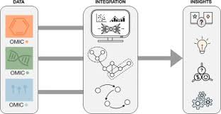 Check spelling or type a new query. Multi Omics Integration In Biomedical Research A Metabolomics Centric Review Sciencedirect
