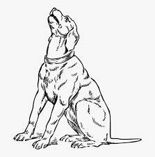 This is quite an easy drawing and i am sure all. Dog Sitting Drawing At Getdrawings Dog Looking Up Drawing Free Transparent Png Download Pngkey
