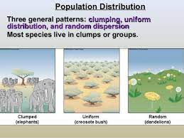 Population Ecology Ecology Uniform Distribution Biology