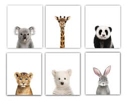 Kids' room ideas and inspiration. Baby Animals Nursery Wall Decor Photography Wall Prints Unframed 8x Designs By Maria Inc